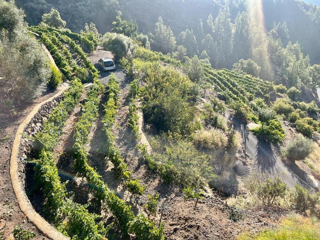 Villa De Taburiente إل باسو المظهر الخارجي الصورة